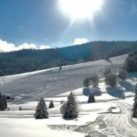 Nr. 312 Im Haus Alb Apartamento