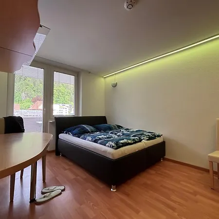 Nr. 312 Im Haus Alb St. Blasien