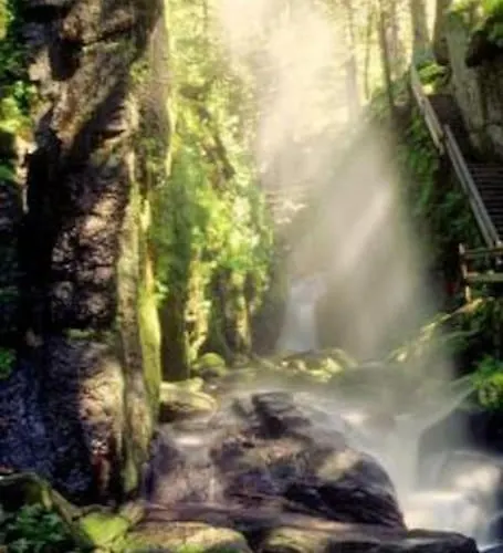 Nr. 312 Im Haus Alb Apartament